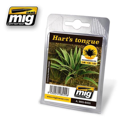 Harts´s Tongue