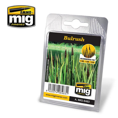 BULRUSH