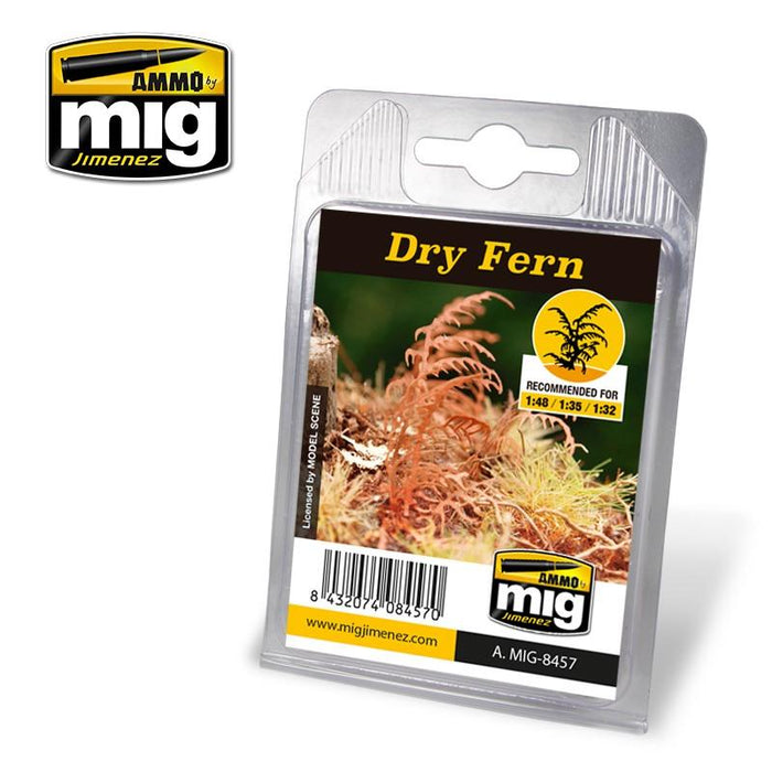 Dry Fern